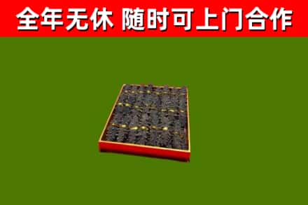 基隆市回收海参